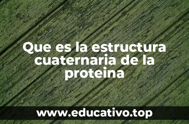 La organización tridimensional de las proteínas