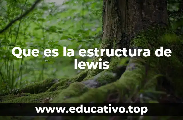 ¿Cómo se forma una representación de Lewis?