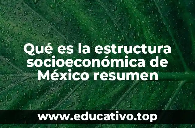 La organización social y económica de México