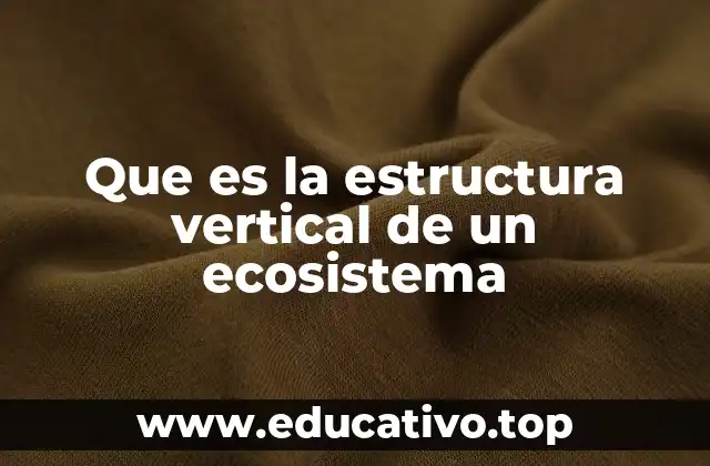 La importancia de la organización espacial en los ecosistemas