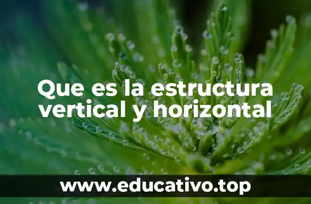 Diferencias entre estructuras verticales y horizontales