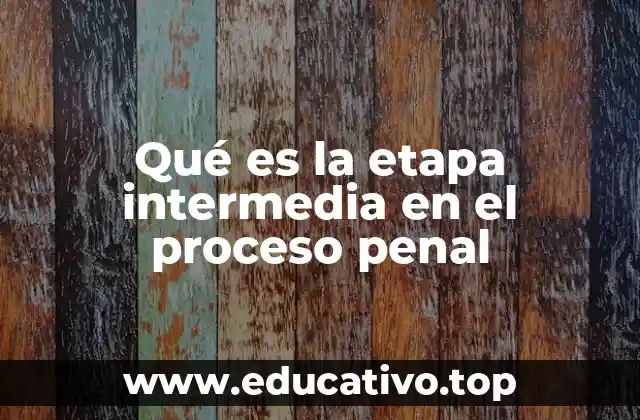 Qué es la etapa intermedia en el proceso penal