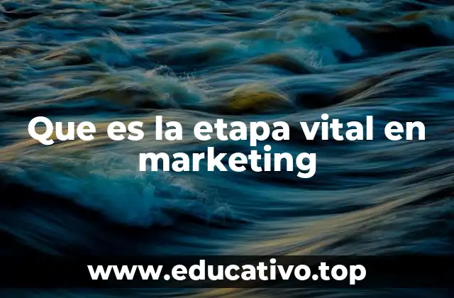 Que es la etapa vital en marketing