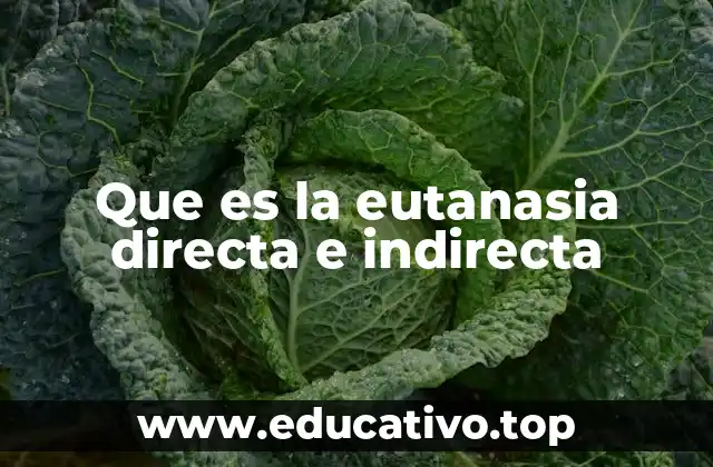 Que es la eutanasia directa e indirecta