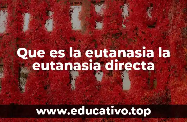 Que es la eutanasia la eutanasia directa
