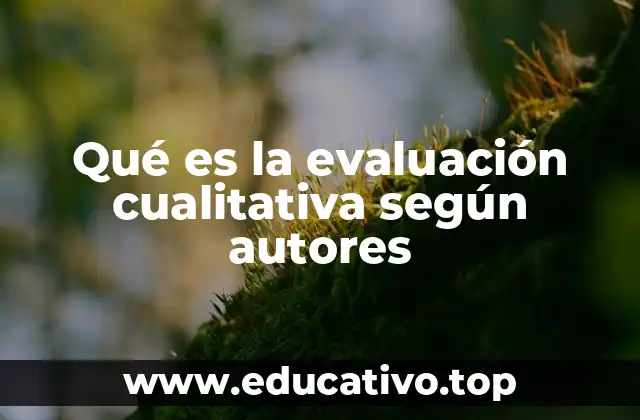 Fundamentos teóricos de la evaluación cualitativa