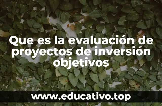 Que es la evaluación de proyectos de inversión objetivos