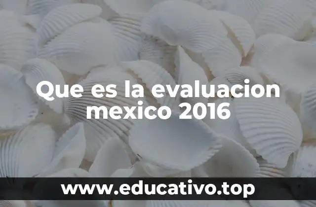 El contexto y la importancia de la medición educativa en 2016