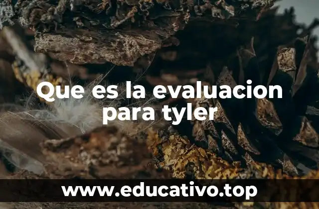 Que es la evaluacion para tyler