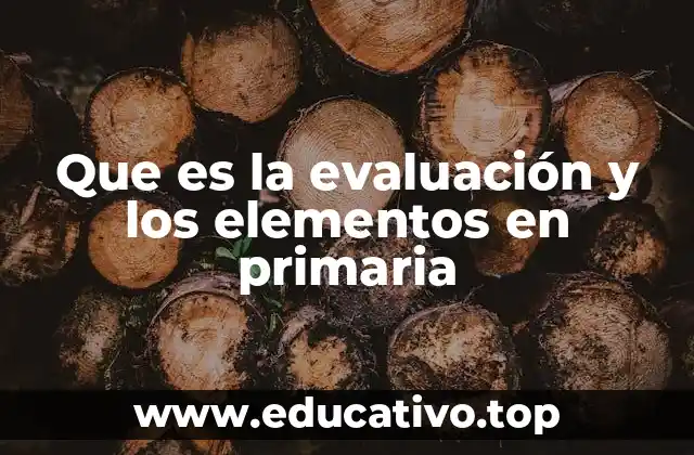 Que es la evaluación y los elementos en primaria