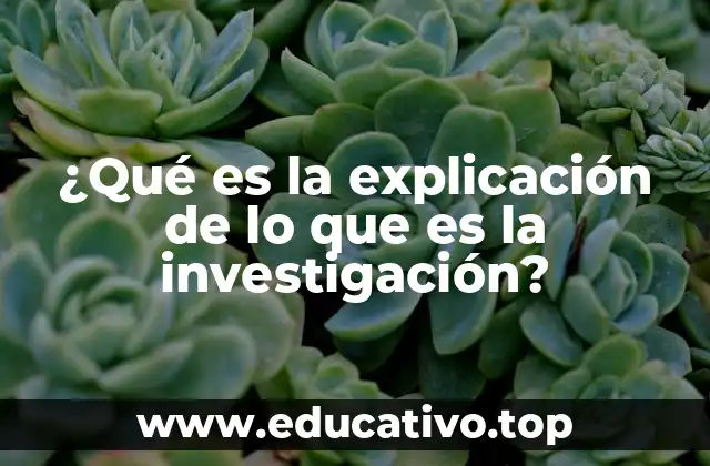 El proceso de la investigación