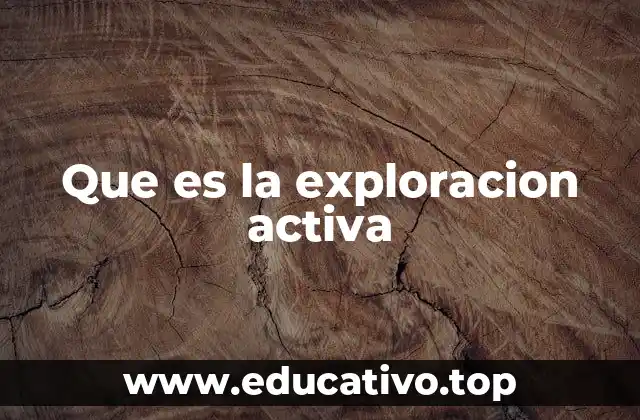 Que es la exploracion activa