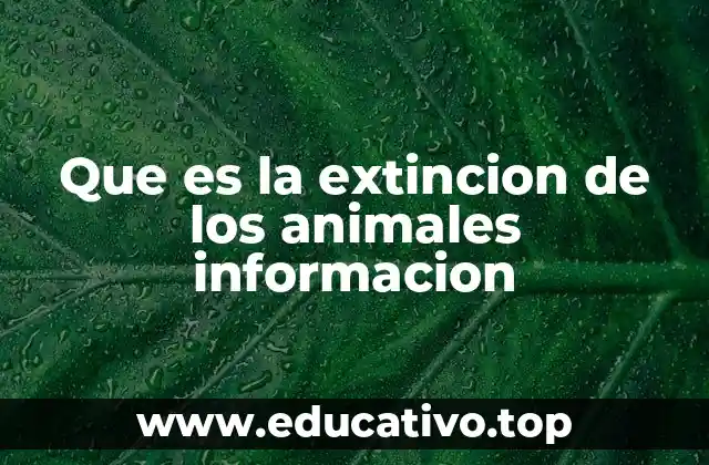 Que es la extincion de los animales informacion