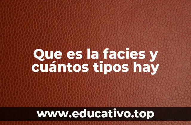 Que es la facies y cuántos tipos hay