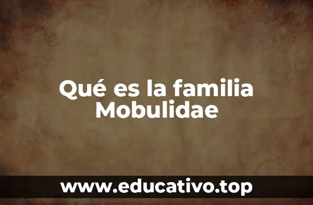 Qué es la familia Mobulidae