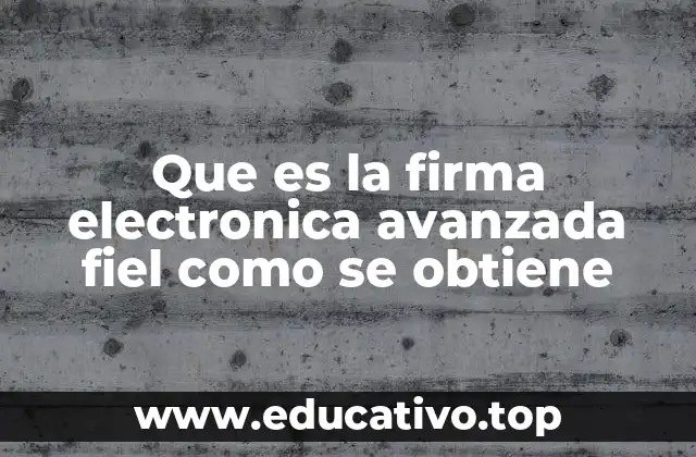 Que es la firma electronica avanzada fiel como se obtiene