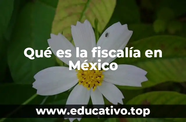 Qué es la fiscalía en México