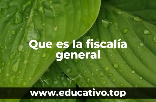 Que es la fiscalía general
