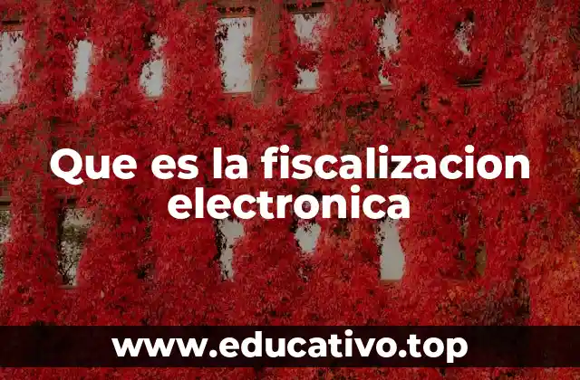 Que es la fiscalizacion electronica