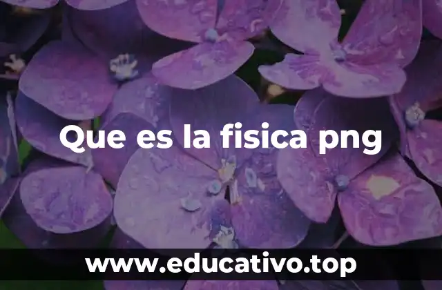 Que es la fisica png