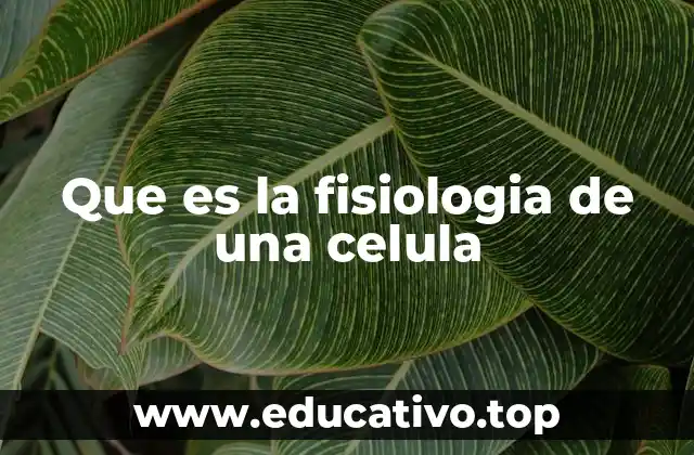 Que es la fisiologia de una celula