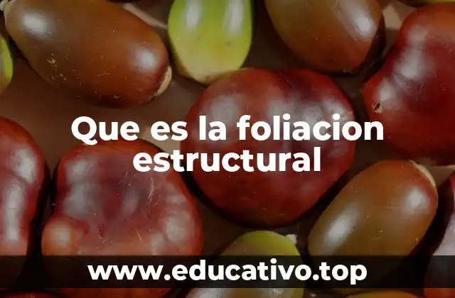 Que es la foliacion estructural