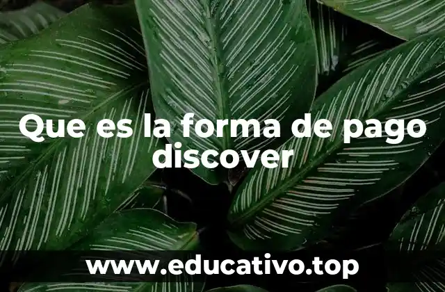 Que es la forma de pago discover