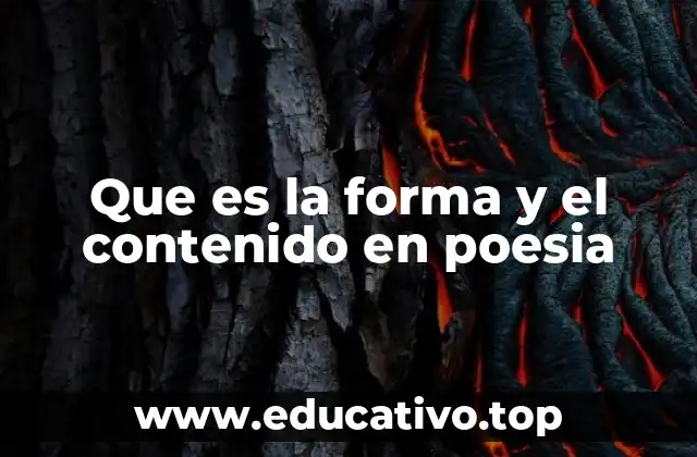 Que es la forma y el contenido en poesia