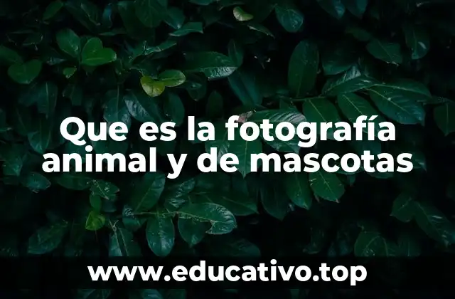 Que es la fotografía animal y de mascotas