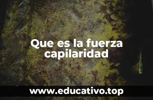 Que es la fuerza capilaridad