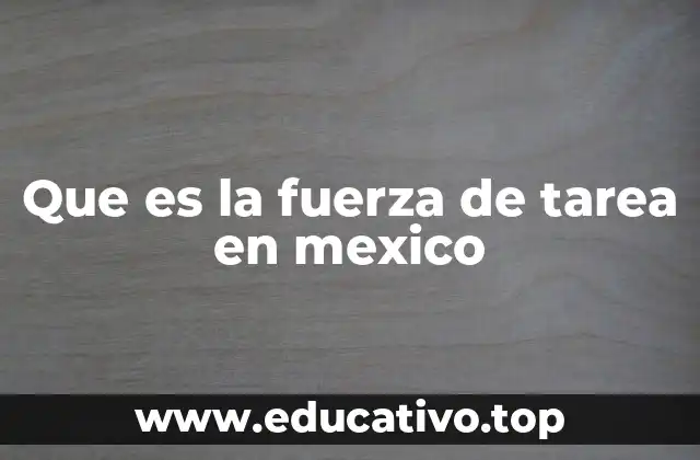 Que es la fuerza de tarea en mexico