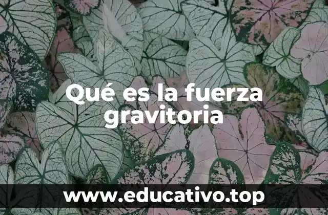 Qué es la fuerza gravitoria