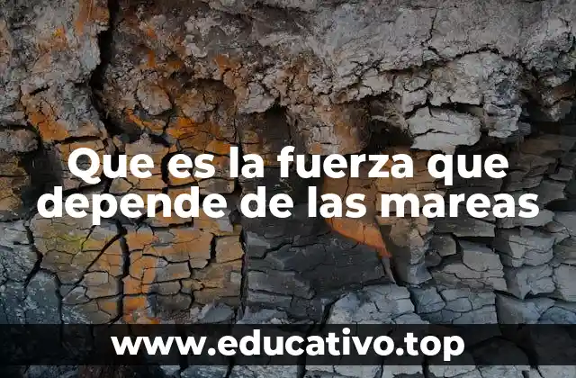 El impacto ecológico de la energía derivada de las mareas