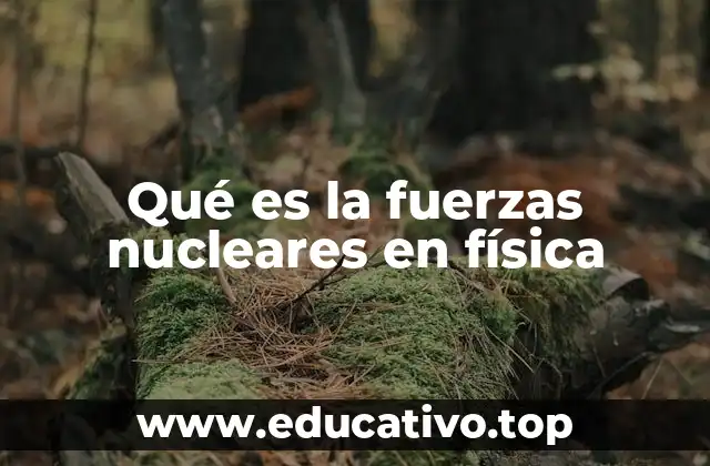 Qué es la fuerzas nucleares en física