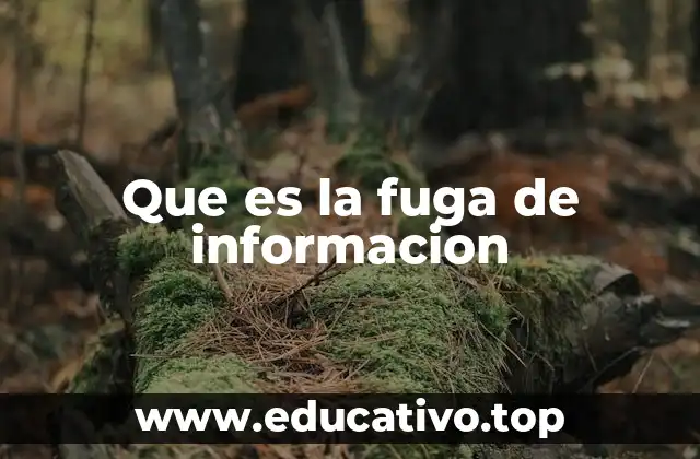 Cómo se produce una fuga de información