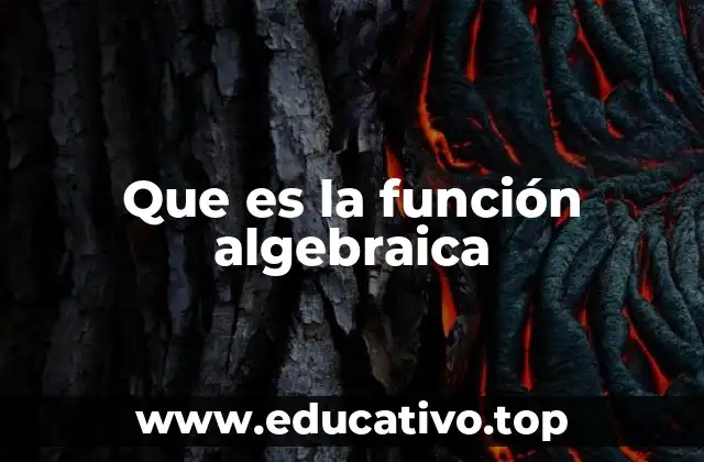 Que es la función algebraica
