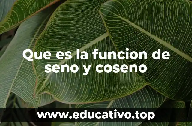 Que es la funcion de seno y coseno