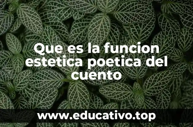 Que es la funcion estetica poetica del cuento
