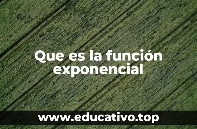 Que es la función exponencial