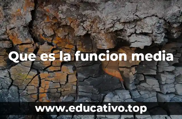 Que es la funcion media