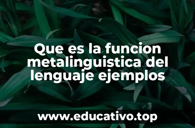 Que es la funcion metalinguistica del lenguaje ejemplos