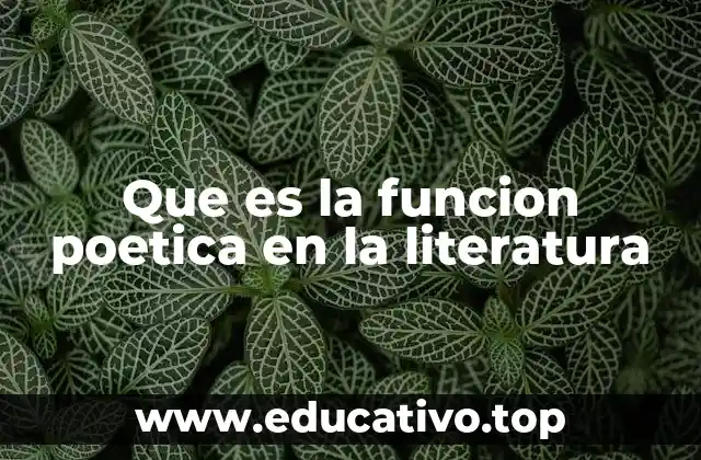Que es la funcion poetica en la literatura