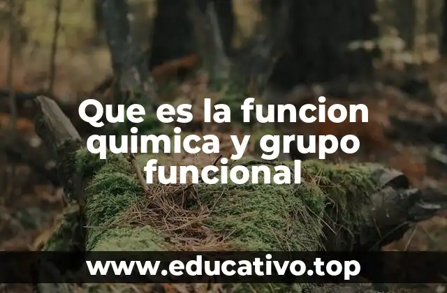 Que es la funcion quimica y grupo funcional