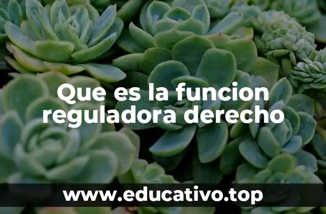 El rol del derecho como herramienta social