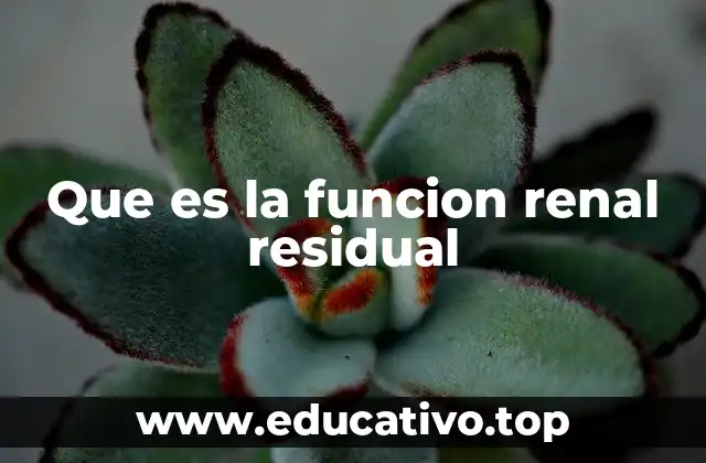 Que es la funcion renal residual