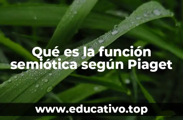 Qué es la función semiótica según Piaget