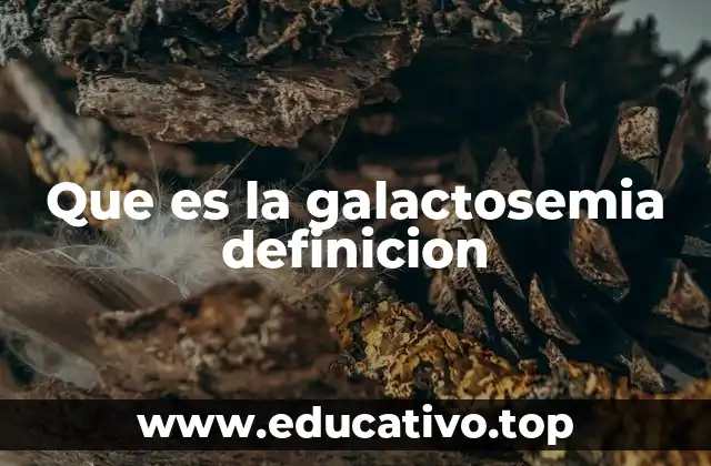 Que es la galactosemia definicion