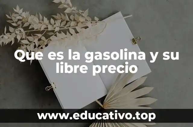 Que es la gasolina y su libre precio