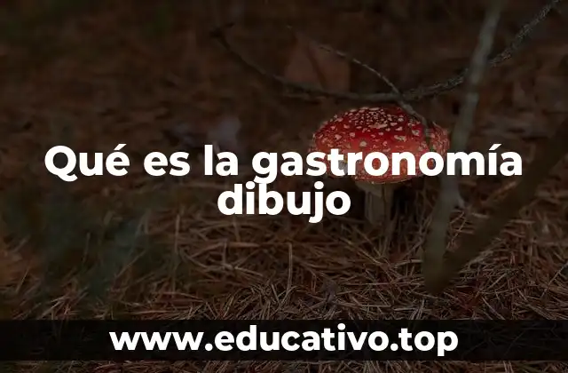 La representación visual de la cocina