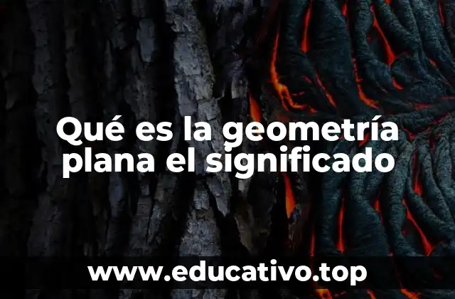 El estudio de formas en dos dimensiones y su importancia en la educación